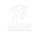LogoHvidWeb